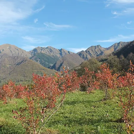 Agriturismo Il Mirtillo B,b Alloggio per agriturismo Pasturo
