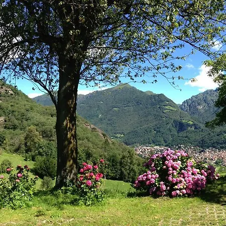 Alloggio per agriturismo Agriturismo Il Mirtillo B,b *