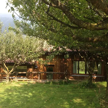 Agriturismo Il Mirtillo B,b