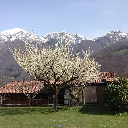 Agriturismo Il Mirtillo B,b