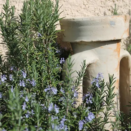 Agriturismo Il Mirtillo B,b Séjour à la ferme *